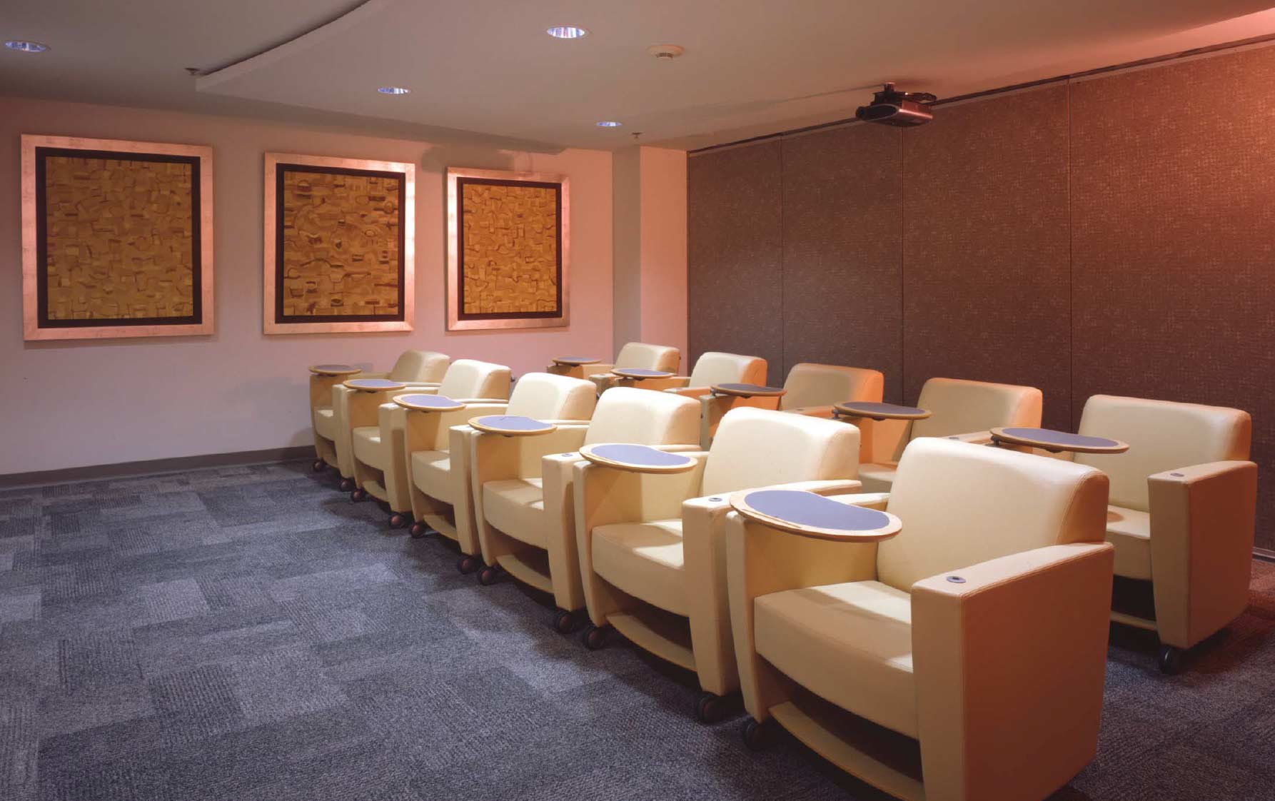 Interproteccion y reacinter theatre conference room design